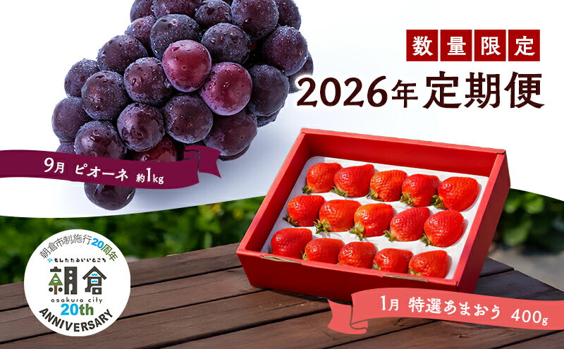 【ふるさと納税】【朝倉市制施行20周年記念企画】 定期便 2回 うるう農園 2026年1月発送 特選 あまおう 400g ゆう美果樹園 2026年9月発送 ピオーネ 1～3房 約1kg いちご ピオーネ セット ※配送不可：離島　お届け：あまおう:2026年1月、ピオーネ:2026年9月