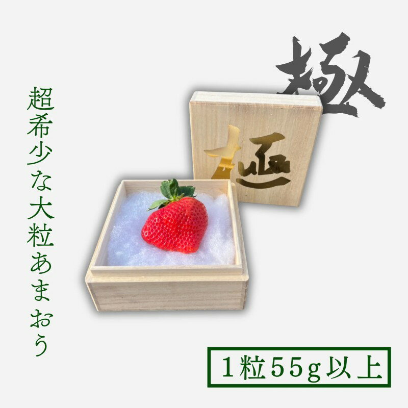 【ふるさと納税】いちご 大粒 あまおう 苺 「極」 1粒55g以上 果物　お届け：～2026年3月30日まで