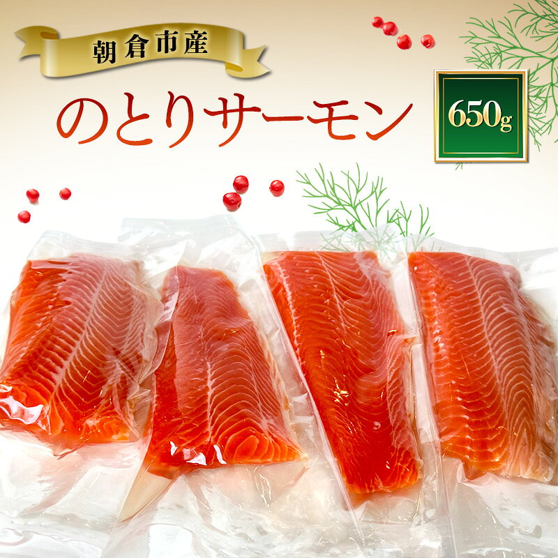 サーモン 朝倉市産 のとりサーモン 650g 魚 冷凍 ※配送不可:離島