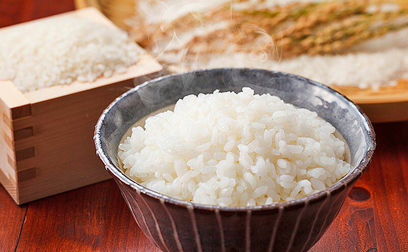 【ふるさと納税】令和8年度産米 にこまる 5kg 福岡県朝倉産 白米 精米 お米　お届け：2026年11月上旬～2027年7月下旬 f402281-asakura-10003661 福岡県朝倉市 サンプル画像2