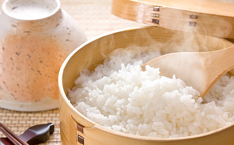 【ふるさと納税】令和8年度産米 にこまる 5kg 福岡県朝倉産 白米 精米 お米　お届け：2026年11月上旬～2027年7月下旬 f402281-asakura-10003661 福岡県朝倉市 サンプル画像3