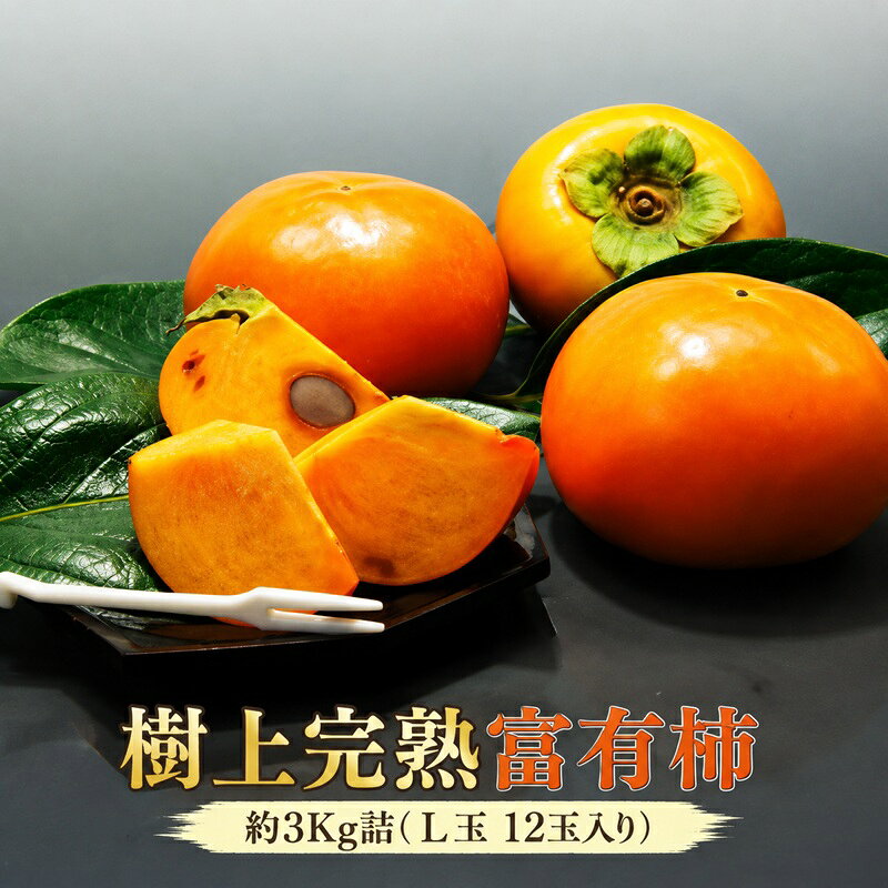 【ふるさと納税】【福岡県朝倉産】もぎたて樹上完熟富有柿 木の上でじっくり熟した、みずみずしく濃厚な甘み ［一番美味しい時期にお届け］正品 化粧箱 L玉 12玉入り 約3Kg詰　お届け：2026年11月上旬～12月中旬
