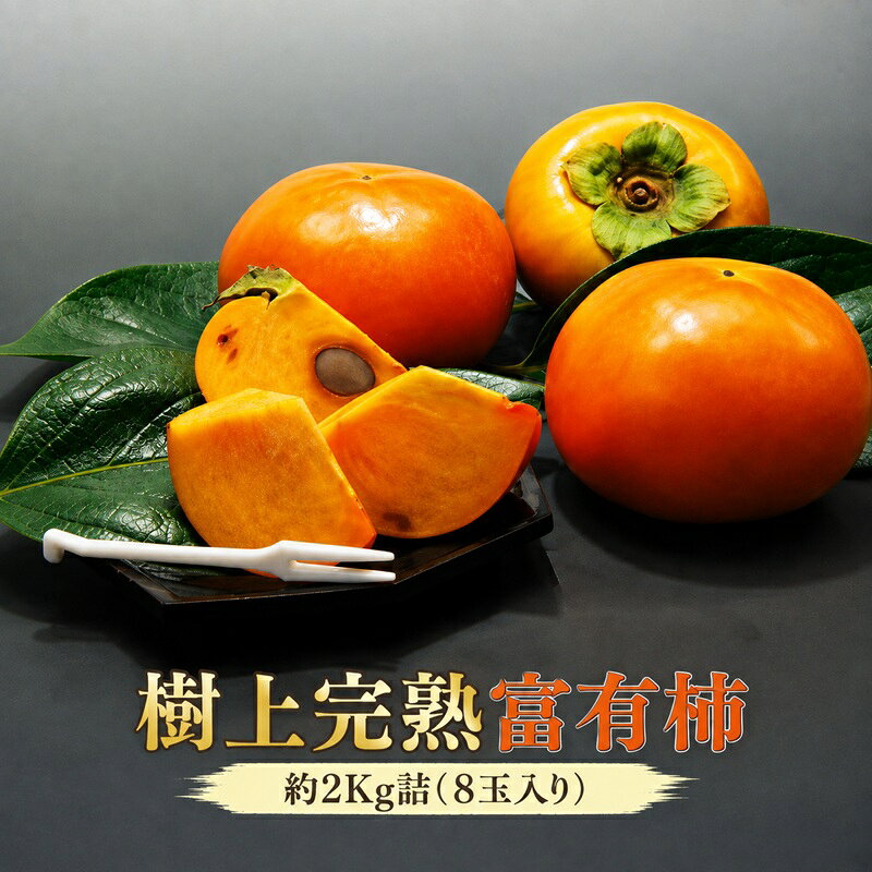 【ふるさと納税】【福岡県朝倉産】もぎたて樹上完熟富有柿 木の上でじっくり熟した、みずみずしく濃厚な甘み ［一番美味しい時期にお届け］正品 ギフト箱 8玉入り 約2Kg詰　お届け：2026年11月上旬～12月中旬