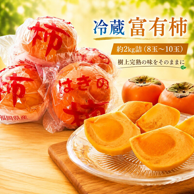 福岡県朝倉産[樹上完熟の味をそのままに]一玉ずつ丁寧に袋詰めした、朝倉のプレミアム冷蔵富有柿 約2kg詰(8玉〜10玉) お届け:2027年1月上旬〜2月下旬