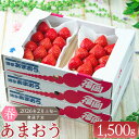 【ふるさと納税】【春】あまおう 6パック 合計 約1500g 1パック 約250g イチゴ いちご 苺 果物 くだもの フルーツ 1kg以上 福岡県産 九州 みやま市 予約 送料無料 【2026年2月上旬~3月下旬以降発送予定】