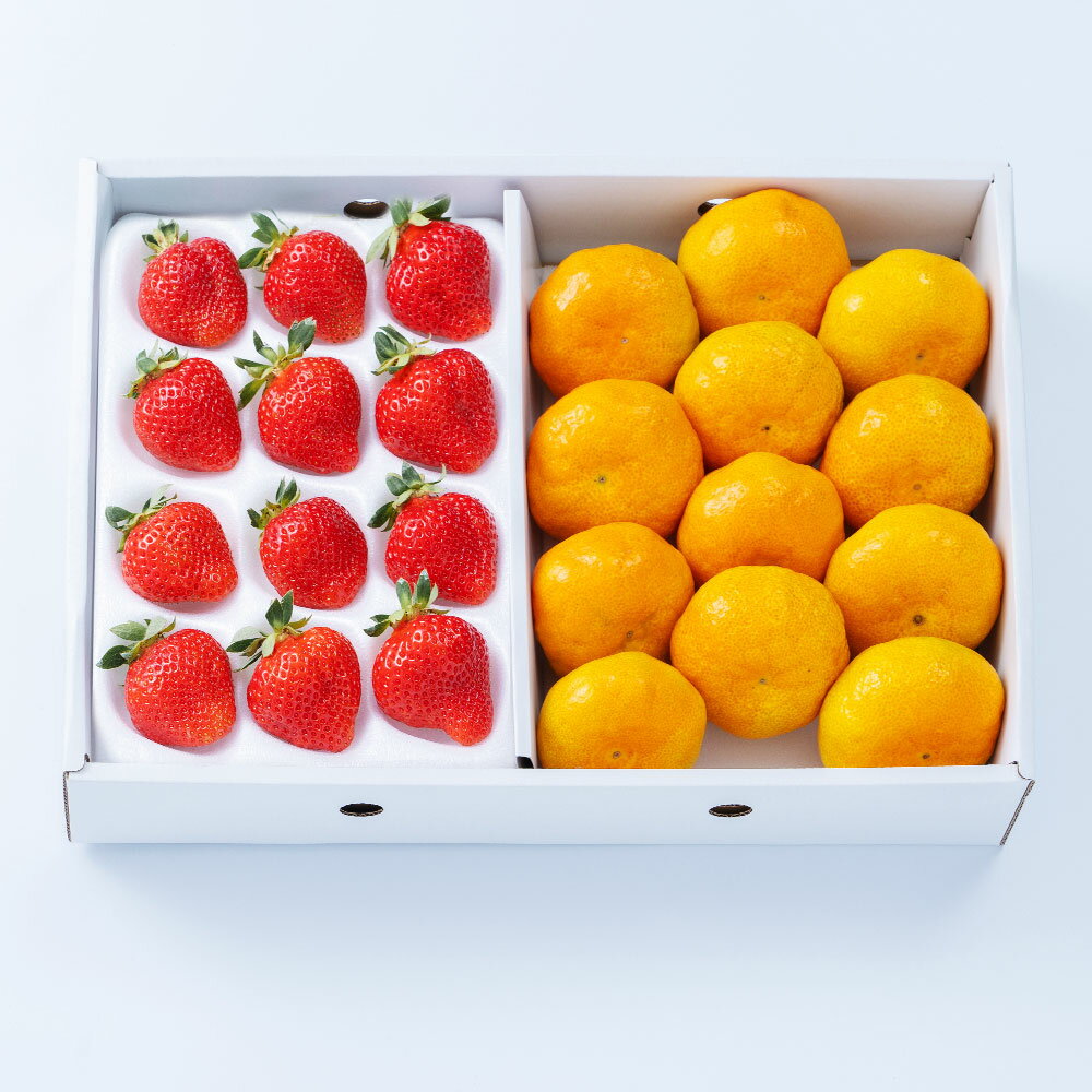 福岡県産あまおう(12〜15粒)&山川みかん(9〜12玉)詰合せ いちご イチゴ 苺 ミカン 蜜柑 くだもの 果物 果実 フルーツ 詰め合わせ セット 冷蔵 福岡県産 国産 九州 福岡県 みやま市 送料無料 [2025年12月中順次発送予定]
