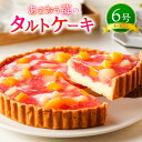 【ふるさと納税】あまおう苺のタルトケーキ 6号 約18cm 