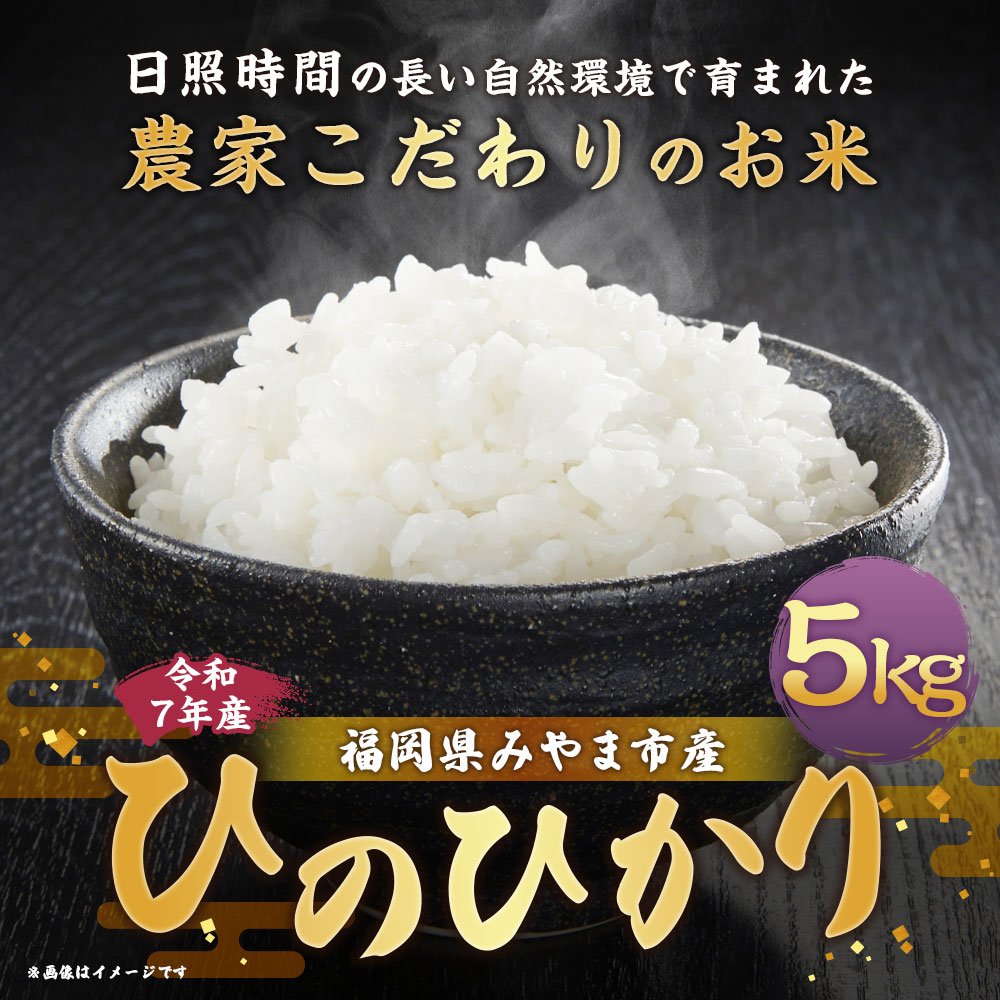 【ふるさと納税】A325 【令和7年産】アッキーファームのお米「ひのひかり」 5kg 白米 ヒノヒカリ お米 こめ 精米 単一原料米 ごはん ご飯 福岡県産 国産 福岡県 みやま市 送料無料 【2025年11月上旬～2026年8月下旬まで順次発送予定】