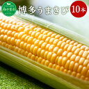 【ふるさと納税】博多 うまきび 10本入り 平均糖度20度 ...