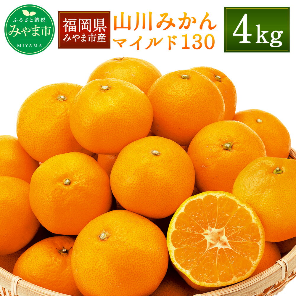 【ふるさと納税】≪11月発送≫ 農林水産大臣賞受賞 山川みかん マイルド130 4kg みかん ミカン 蜜柑 フルーツ 果物 高糖度 国産 福岡県産 九州 送料無料のサムネイル
