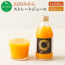 【ふるさと納税】山川みかんストレートジュース（250ml×1