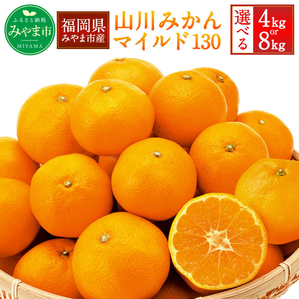 4位! 口コミ数「6件」評価「5」＜選べる＞ 農林水産大臣賞受賞 山川みかん マイルド130 4kg または 8kg みかん ミカン 蜜柑 フルーツ 果物 高糖度 国産 福岡県産 九州 送料無料 【2025年11月上旬～12月上旬迄順･･･ 