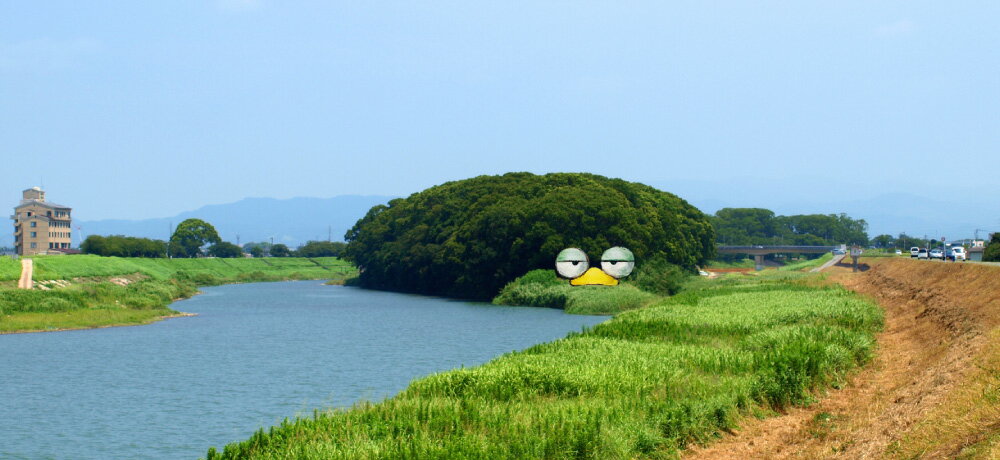 【ふるさと納税】A286 矢部川くすべぇ絵本 えほん 物語 こども 子供 児童書 読み聞かせ 歴史 福岡県 みやま市 送料無料