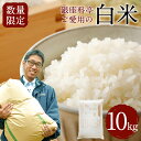 10kg 福岡県産 ご飯 白米 米 精米 美味しい 九州 おむすび 和食 高級 送料無料 令和5年産