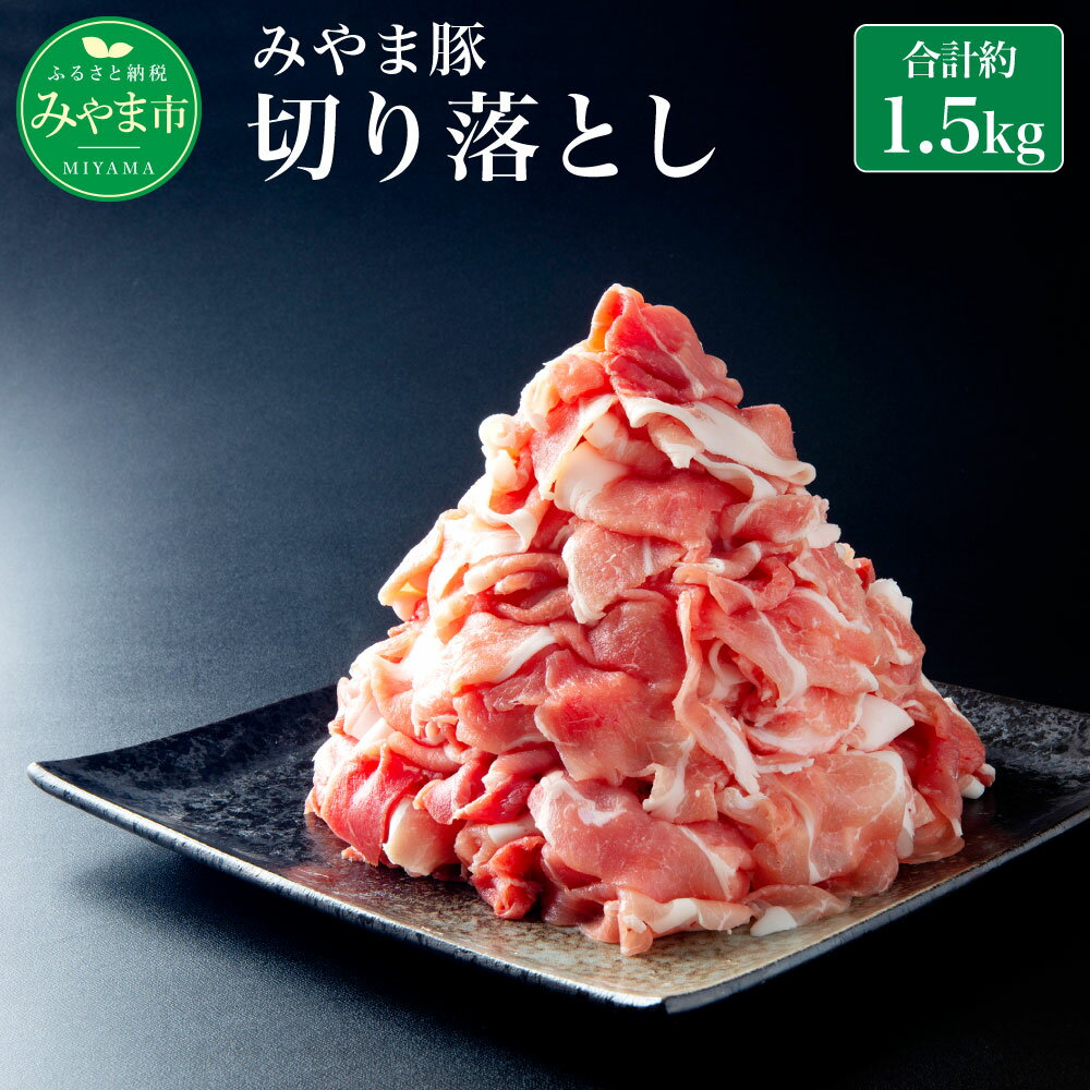 【ふるさと納税】みやま豚 切り落とし 1.5kg 約500g×3パック 1500g 生姜焼き 豚肉 小分け 肉 みやま市産 国産 九州 冷凍 送料無料