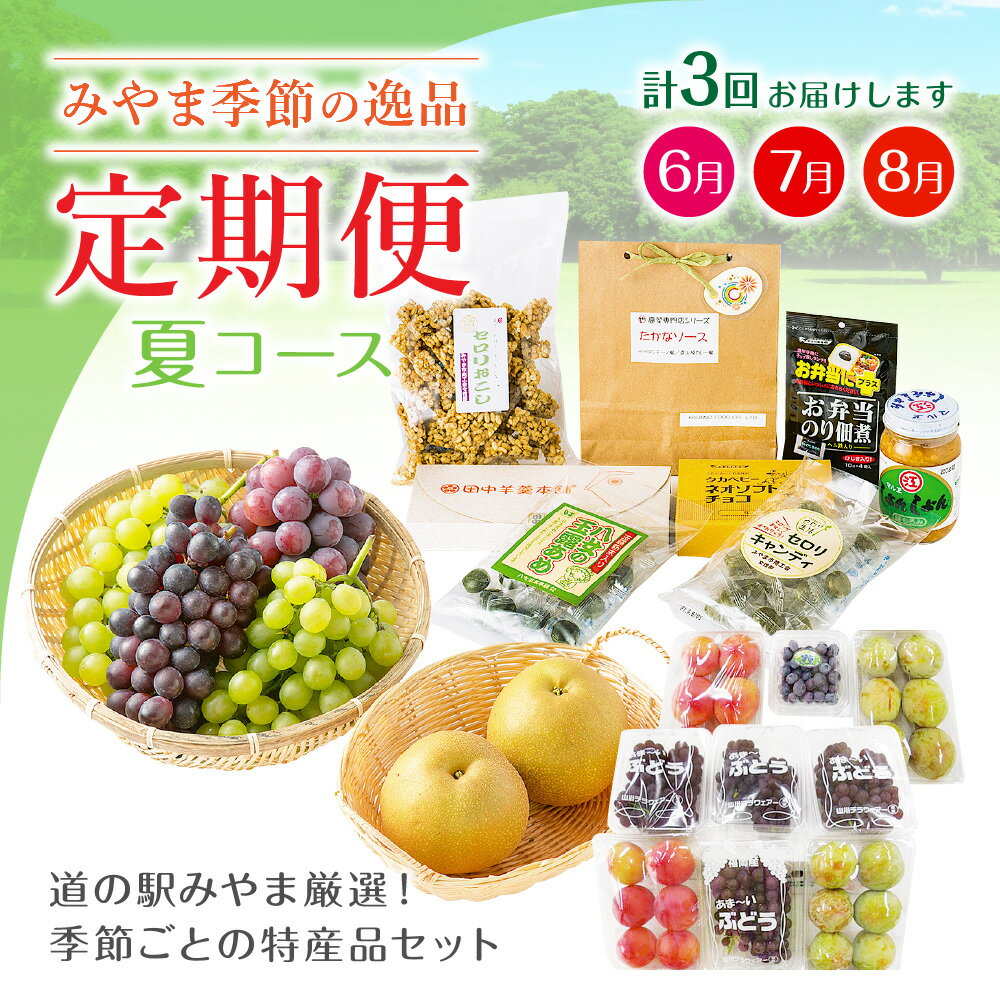 【ふるさと納税】【定期便 夏コース】みやま季節の逸品コース 3ヵ月 計3回 フルーツ 野菜 葡萄 ぶどう デラウェア ピオーネ スモモ すもも 梨 ブルーベリー カレー ジャム 旬 セット 詰め合わせ 福岡県産 九州産 定期発送 定期便 送料無料