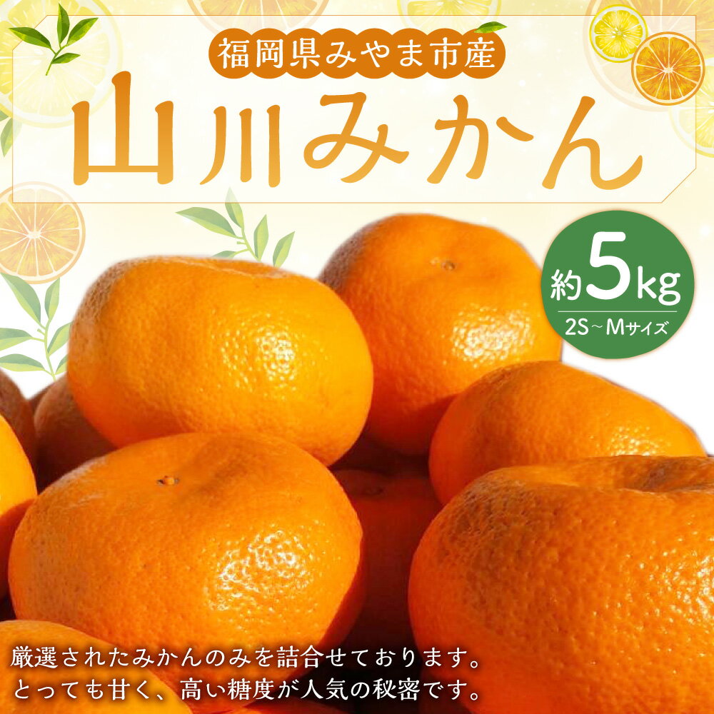 【ふるさと納税】山川みかん 約5kg（2S～Mサイズ）みかん ミカン 蜜柑 高糖度 フルーツ 果物 くだもの 常温 特産品 福岡県 みやま市 送料無料【2025年12月上旬～2026年1月下旬まで順次発送予定】