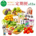 【ふるさと納税】E1 【定期便12ヵ月コース】毎月届くみやまの逸品コース 計12回 フルーツ 野菜 あまおう トマト 海苔 セット 詰め合わせ 定期便 送料無料