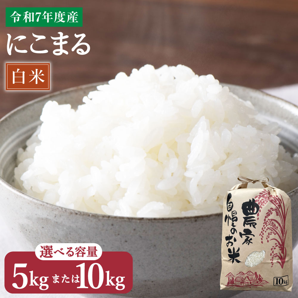 【ふるさと納税】<選べる> みやまのきよみず米 にこまる 5kg または 10kg 白米 令和7年産 単一原料米 米 九州産 みやま市産 送料無料 A234 A...