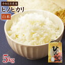 【ふるさと納税】みやまのきよみず米 ヒノヒカリ 5kg 白米 令和5年産 単一原料米 米 九州産 みやま市産 送料無料
