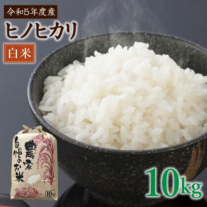 みやまのきよみず米 ヒノヒカリ 10kg 白米 令和5年産 単一原料米 米 九州産 みやま市産 送料無料