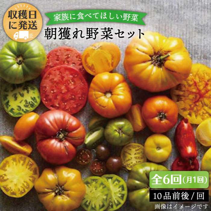 【ふるさと納税】【全6回定期便 月1回 】☆畑直送☆【福岡県糸島産】朝獲れ 野菜セット 10品前後 オーガニックナガミツファーム [AGE009] 65000円