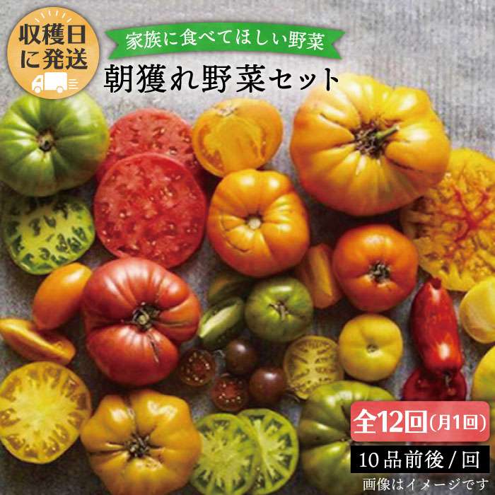 【ふるさと納税】【全12回定期便 月1回 】☆畑直送☆【福岡県糸島産】朝獲れ 野菜セット 10品前後 オーガニックナガミツファーム [AGE012] 129000円 100000円 10万