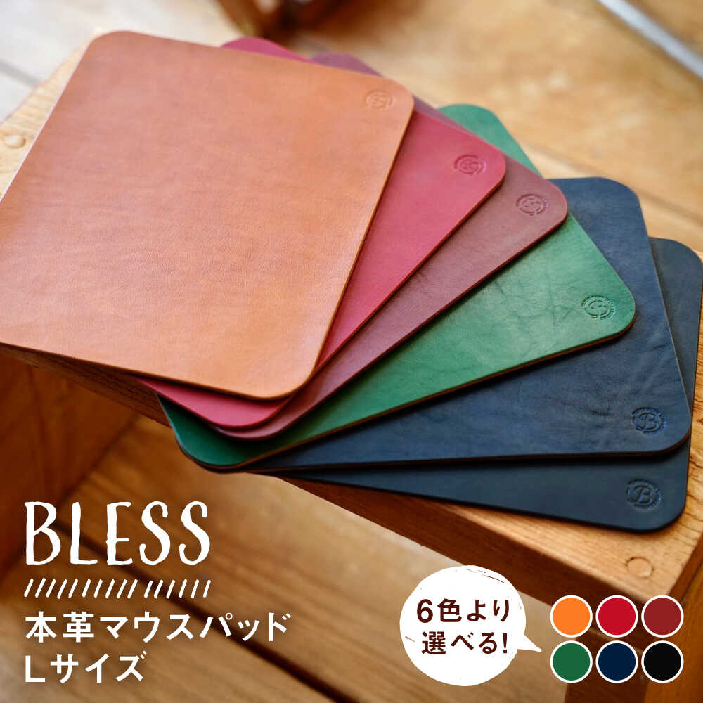 【ふるさと納税】【経年変化を楽しむ】本革 マウスパッド(Lサ