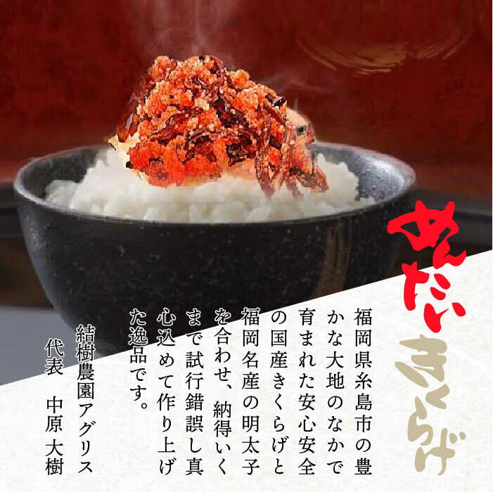 【ふるさと納税】【全3回定期便】めんたいきくらげ300g 《糸島》【結樹農園アグリス】 [AAJ005] 27000円 2万7千円