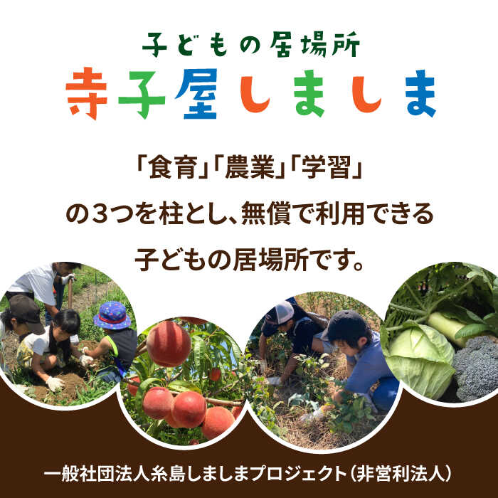 【ふるさと納税】糸島で農業体験(3名) 栽培期間中農薬不使用 無化学肥料 無除草剤の畑で野菜のお世話体験！ [AAL003] 27000円