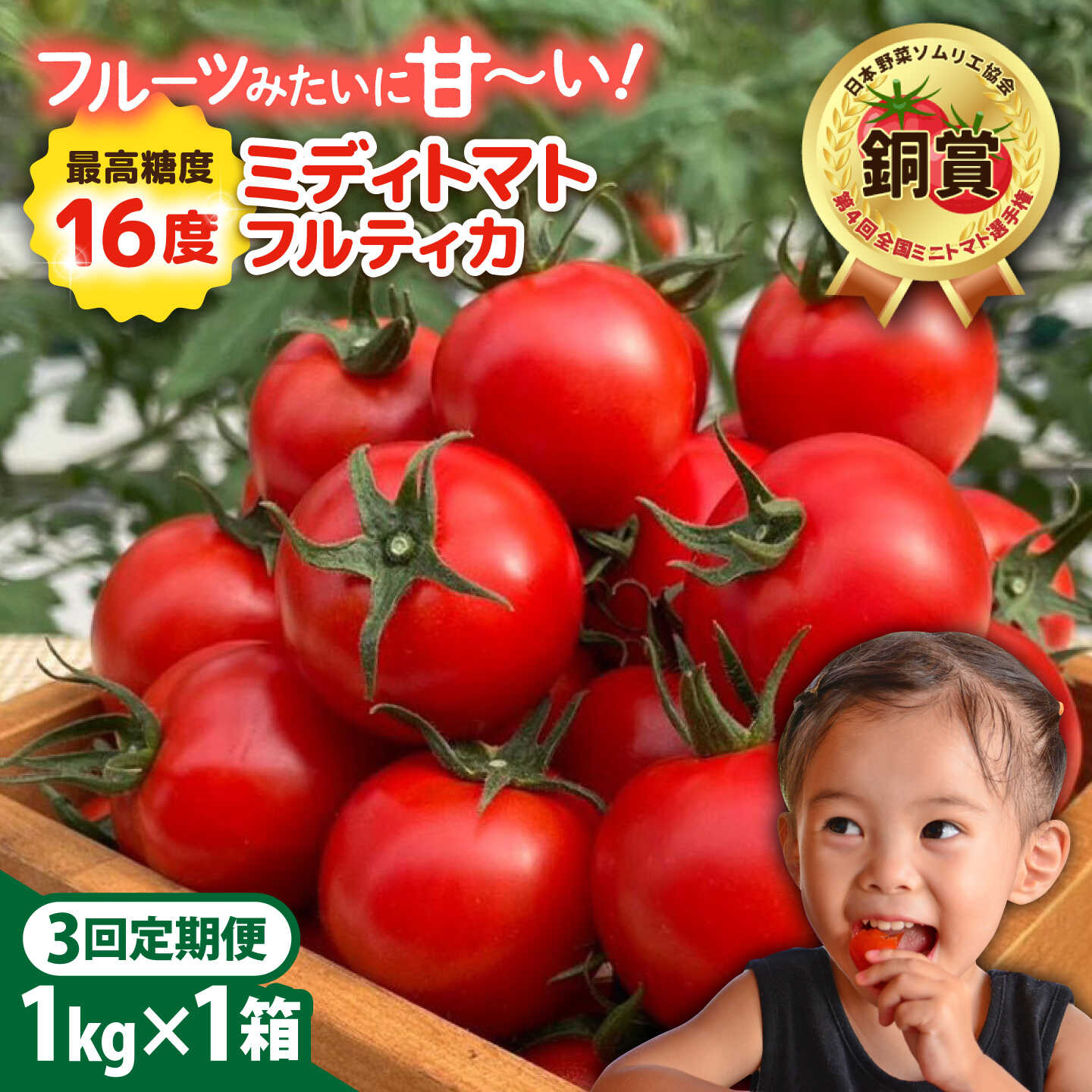[先行予約][全3回定期便] フルティカ 1kg 糸島市 / かわぞえ農園 トマト 中玉トマト [2026年11月以降順次発送]