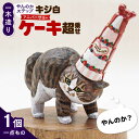 【ふるさと納税】【1点もの】やんのかステップ木彫作品「キジ白アニバーサリーケーキ超乗せ」 糸島市 / HITOMIKO(木村瞳) 【いとしまごころ】 木製 ねこ...