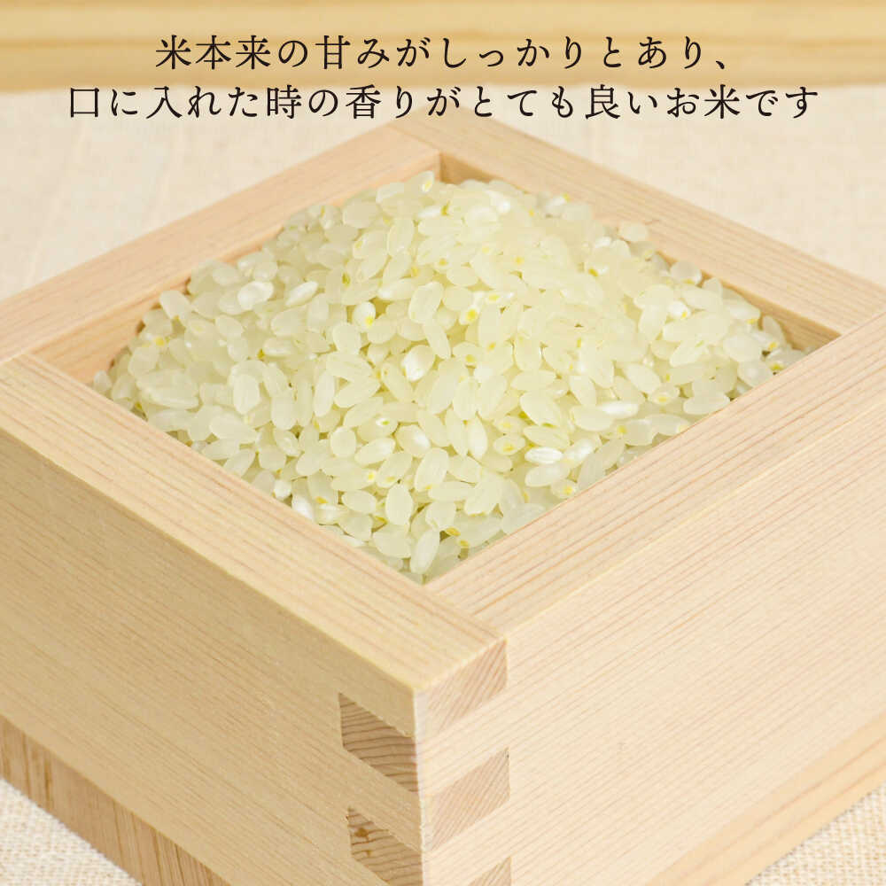 【ふるさと納税】【令和8年産新米】【全3回定期便】糸島産夢つくし 5kg × 3回 (月1回) 計15kg 糸島市 / 糸島王丸農園（谷口汰一）【いとしまごころ】[aaz002] 常温 米 白米 4万4千円 44000円 f402303-itoshima-10001276 福岡県糸島市 サンプル画像2