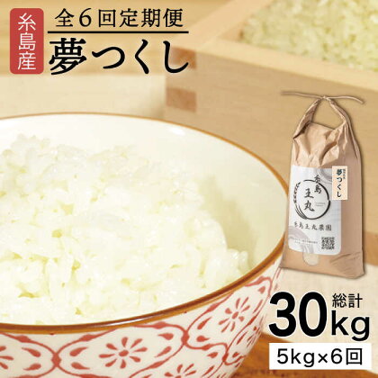 【全6回定期便】 糸島産 夢つくし 5kg × 6回 (月1回) 糸島市 / 糸島王丸農園（谷口汰一）【いとしまごころ】[AAZ003] 77000円 常温 米 玄米 白米