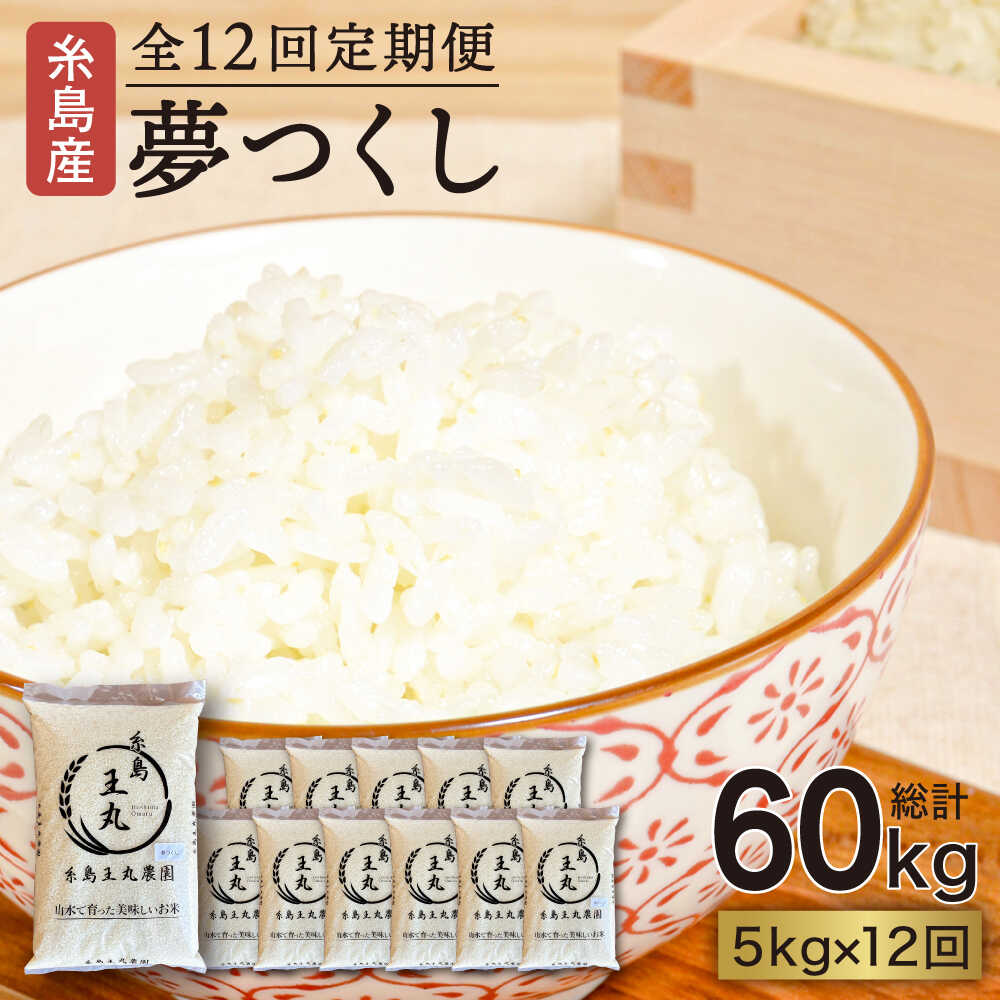 【全12回定期便】 糸島産 夢つくし 5kg × 12回 (月1回) 糸島市 / 糸島王丸農園 ( 谷口汰一 )【いとしまごころ】 [AAZ004] 常温 米 白米 10万円 100000円