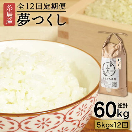 【全12回定期便】 糸島産 夢つくし 5kg × 12回 (月1回) 糸島市 / 糸島王丸農園 ( 谷口汰一 )【いとしまごころ】 [AAZ004] 154000円 常温 100000円 10万 米 玄米 白米