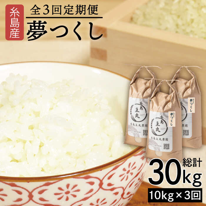 【ふるさと納税】【全3回定期便】糸島産 夢つくし 10kg × 3回 (月1回) 計30kg 糸島市 / 糸島王丸農園 ( 谷口汰一 )【いとしまごころ】[AAZ006]