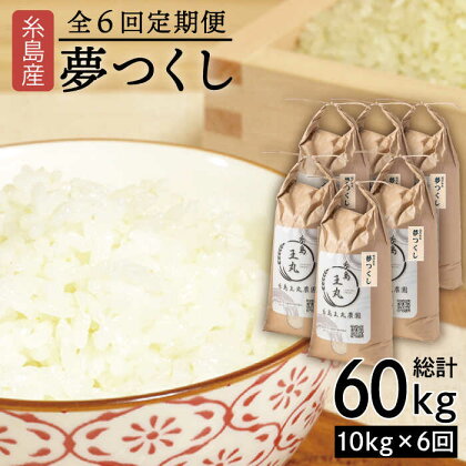 【全6回定期便】糸島産 夢つくし 10kg × 6回 (月1回) 計60kg 糸島市 / 糸島王丸農園（谷口汰一）【いとしまごころ】[AAZ007] 125000円 常温 100000円 10万 米 玄米 白米