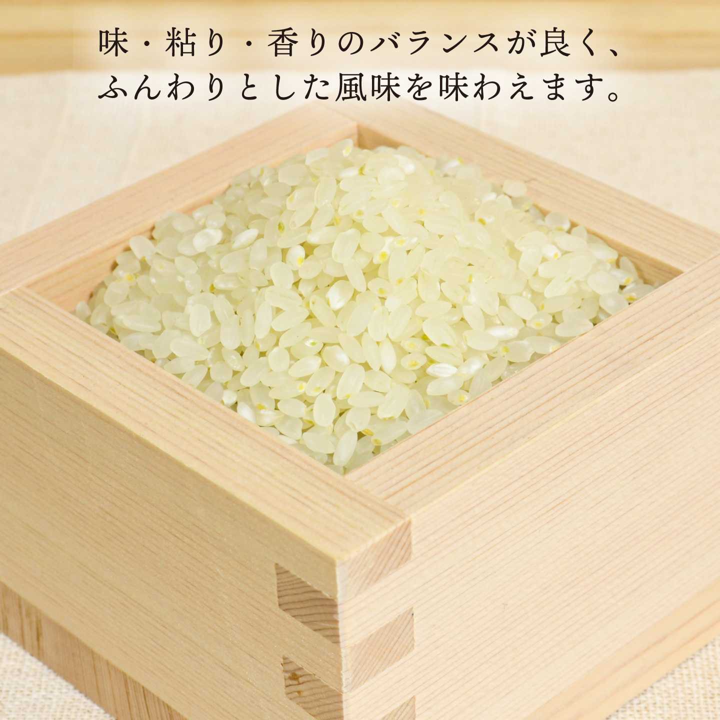 【ふるさと納税】【令和8年産新米】糸島産 ヒノヒカリ 5kg 糸島市 / 糸島王丸農園　( 谷口汰一 )【いとしまごころ】 [AAZ010] 常温 1万5千円 15000円 f402303-itoshima-10002762 福岡県糸島市 サンプル画像2