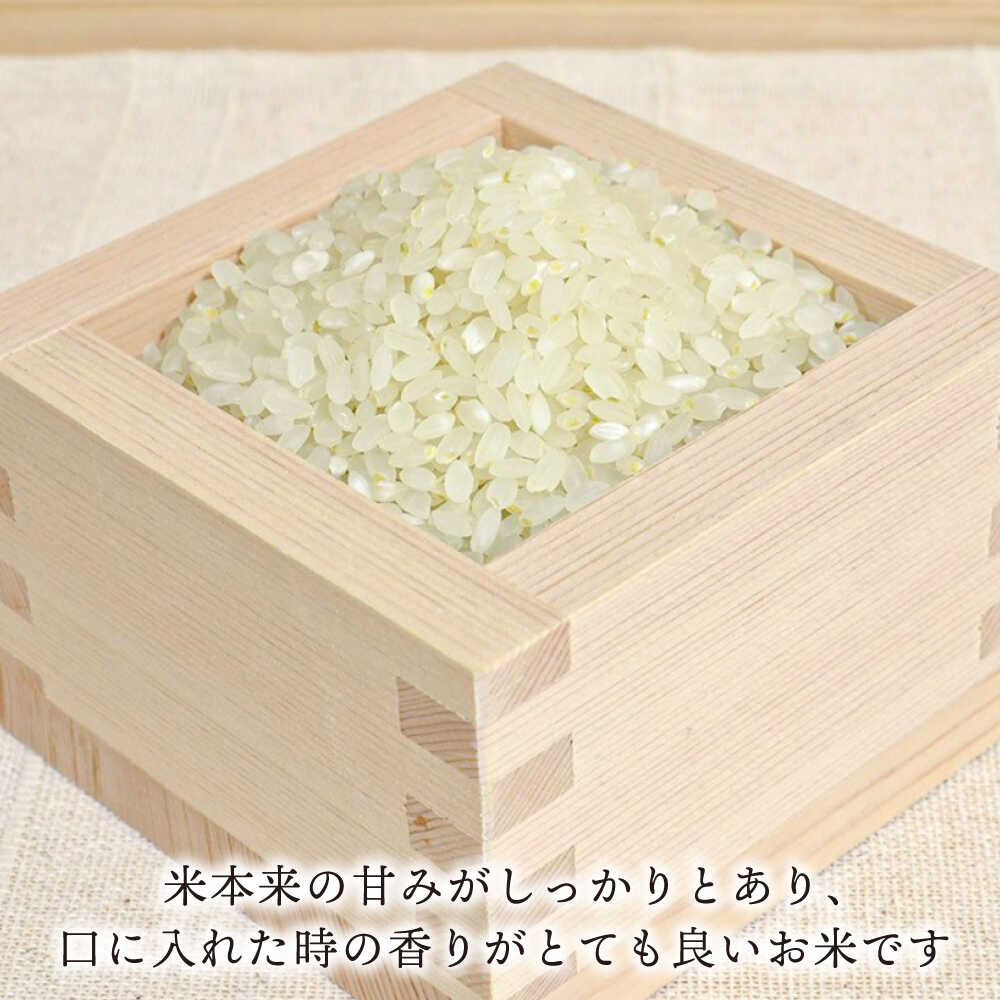 【ふるさと納税】糸島産 ヒノヒカリ 10kg 糸島市 / 糸島王丸農園 ( 谷口汰一 )【いとしまごころ】 [AAZ014] 常温 27000円 2万7千円