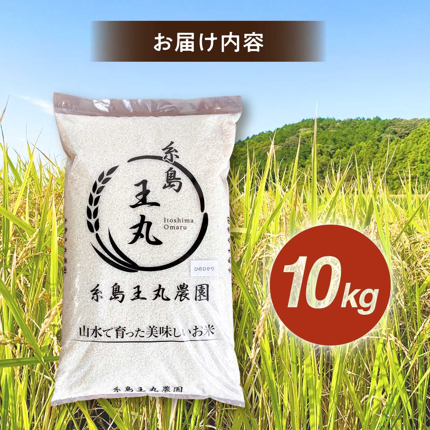 【ふるさと納税】【令和8年産新米】糸島産 ヒノヒカリ 10kg 糸島市 / 糸島王丸農園 ( 谷口汰一 )【いとしまごころ】 [AAZ014] 常温 2万5千円 25000円 f402303-itoshima-10002766 福岡県糸島市 サンプル画像3