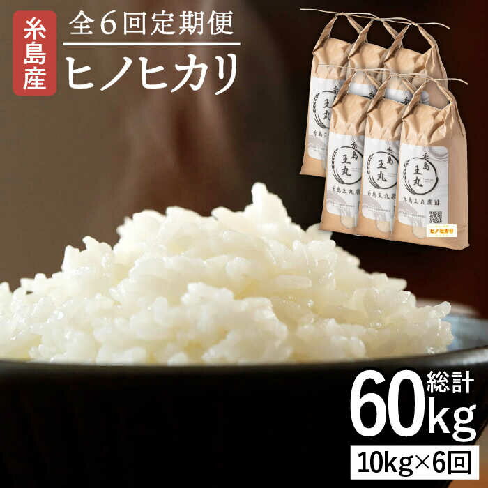 [全6回定期便]糸島産 ヒノヒカリ 10kg × 6回 糸島市 / 糸島王丸農園 ( 谷口汰一 )[いとしまごころ] [AAZ016] 119000円 常温 100000円 10万