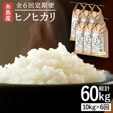 【ふるさと納税】【全6回定期便】糸島産 ヒノヒカリ 10kg × 6回 糸島市 / 糸島王丸農園　( 谷口汰一 )【いとしまごころ】 [AAZ016]