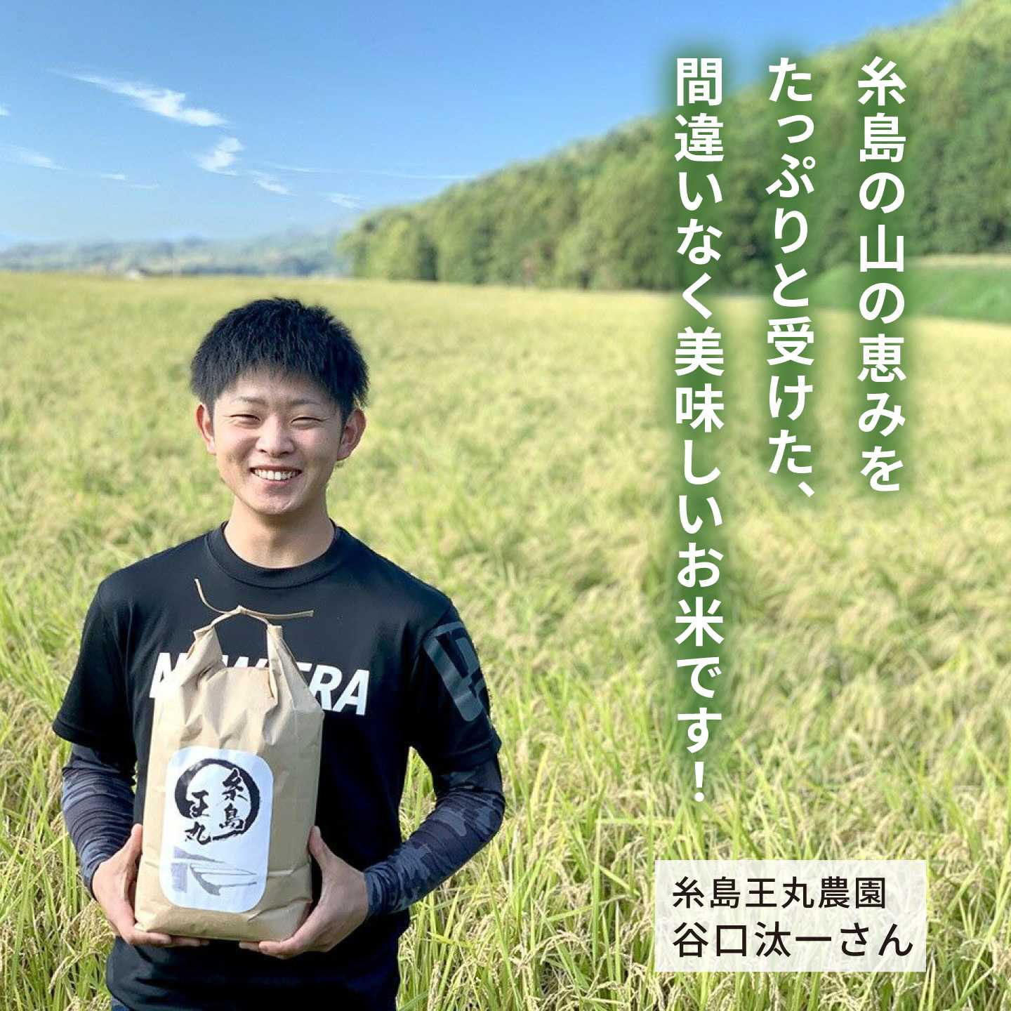 【ふるさと納税】【令和8年産新米】糸島産 ミルキークイーン 10kg 糸島市／糸島王丸農園（ 谷口汰一 ）【いとしまごころ】 米 [AAZ018] 常温 2万5千円 25000円 f402303-itoshima-10004929 福岡県糸島市 サンプル画像3