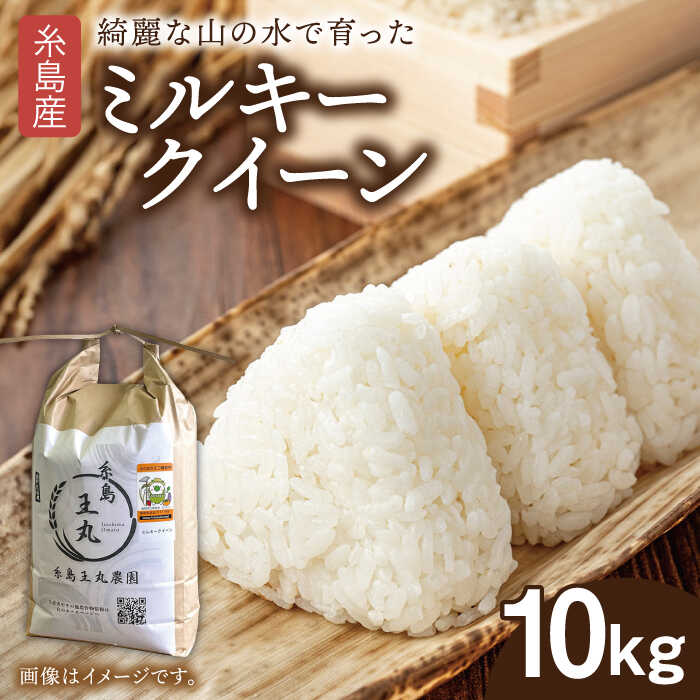 糸島産 ミルキークイーン 10kg 糸島市／糸島王丸農園（ 谷口汰一 ）【いとしまごころ】 米 [AAZ018] 常温 2万5千円 25000円