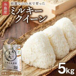 【ふるさと納税】糸島産 ミルキークイーン 5kg 糸島市／糸島王丸農園（ 谷口汰一 ）【いとしまごころ】 米 白米 玄米 [AAZ019] 13000円 常温