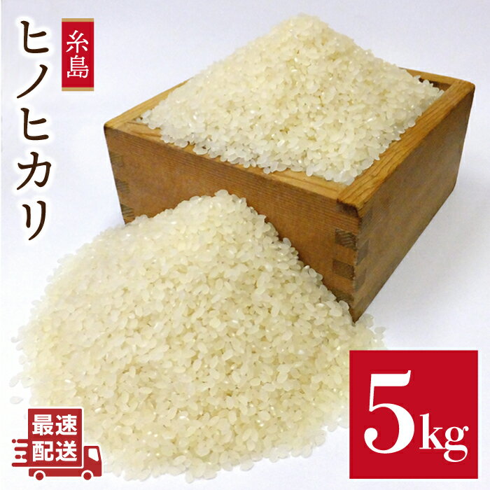 【ふるさと納税】＼令和5年産／糸島産 ヒノヒカリ 5kg 糸島市 / 二丈赤米産直センター[ABB005] 米 12000円 常温