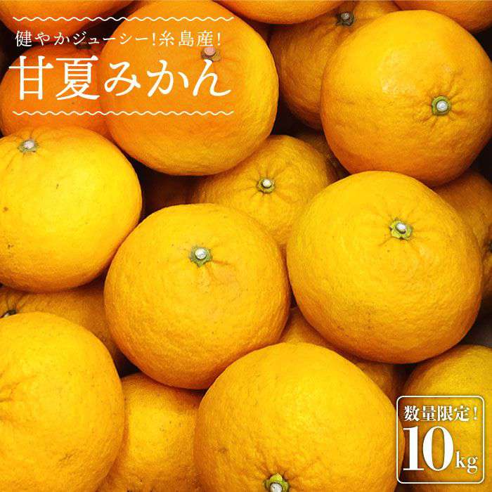 【ふるさと納税】【先行予約】健やかジューシー・夏の味 糸島産甘夏みかんM〜L玉・約10kg【2026年4月以..