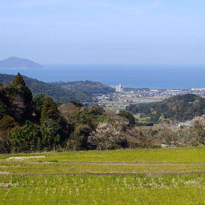 【ふるさと納税】【 定期便】福吉産 の お米 ＜ 6回コース ＞ 夢つくし 5kg 糸島市 / 二丈赤米産直センター [ABB014] 米 ゆめつくし 無洗米 常温 90000円 9万円