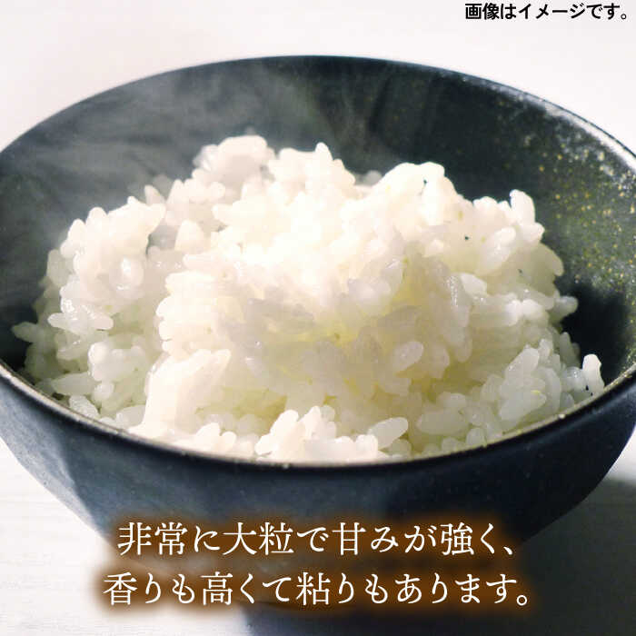 米 白米 玄米 分搗き 稀少 いのちの壱 ご飯 山付き 山つき お米 ごはん　【ふるさと納税】【玄米・分搗き対応】稀少品種「いのちの壱」5kg 糸島市 / 二丈赤米産直センター 米 白米 玄米 [ABB028]1万7千円17000円